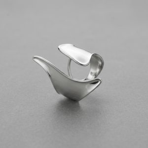 Cisne Escultural